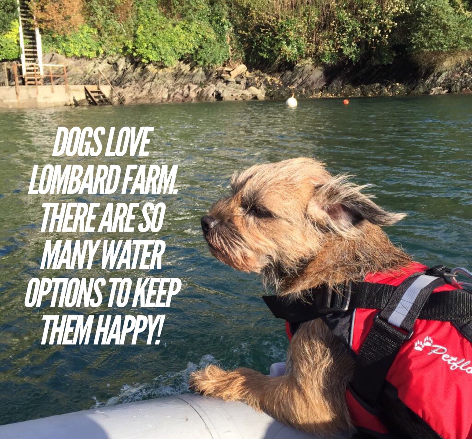 Lombard Farm Fowey Activities