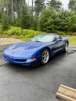 Peter Barkhouse - c5