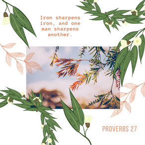 Proverbs 27