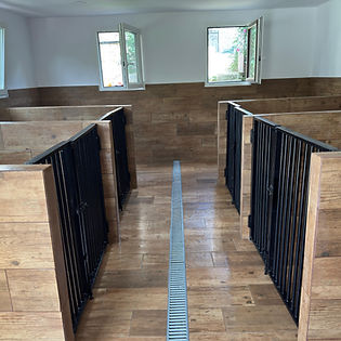 Habitaciones individuales amplias, limpias y acondicionadas para garantizar el confort y la tranquilidad de cada perro durante su estancia. - Residencia Canina Akrama Cantabria