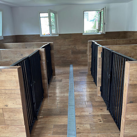 Instalaciones interiores de Centro Canino Akrama Cantabria con habitaciones individuales climatizadas e insonorizadas, diseñadas para ofrecer el máximo confort, seguridad y bienestar durante la estancia de cada perro. - Residencia Canina Akrama Cantabria