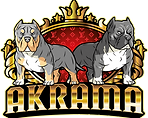 logo akrama american bully