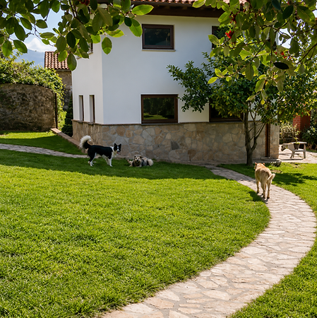 Amplios patios exteriores y zonas de recreo en plena naturaleza donde los perros pueden disfrutar de ejercicio, descanso y socialización en un entorno seguro y supervisado. - Residencia Canina Akrama Cantabria