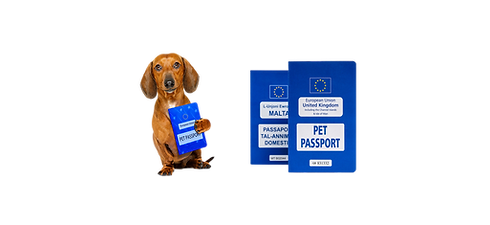 World Pet Passport verification for safe international travel of dogs, cats, birds and small animals | Animal Transport EU