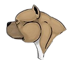 características del hocico del American Bully