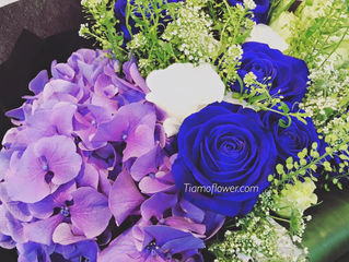 TIAMO Valentine's day collection