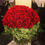 Thumbnail: B022 Red Rose 99 pcs