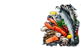 msg5630089995-2895_edited.png