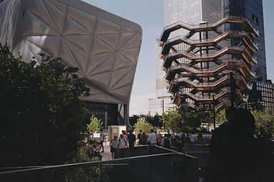 7417_01_03.jpg