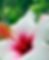 65_20260102_114621_0010.png