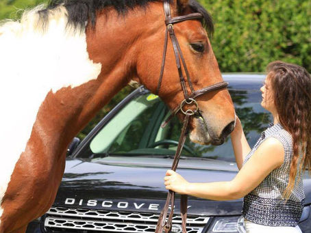 Three years with my horse of a lifetime.