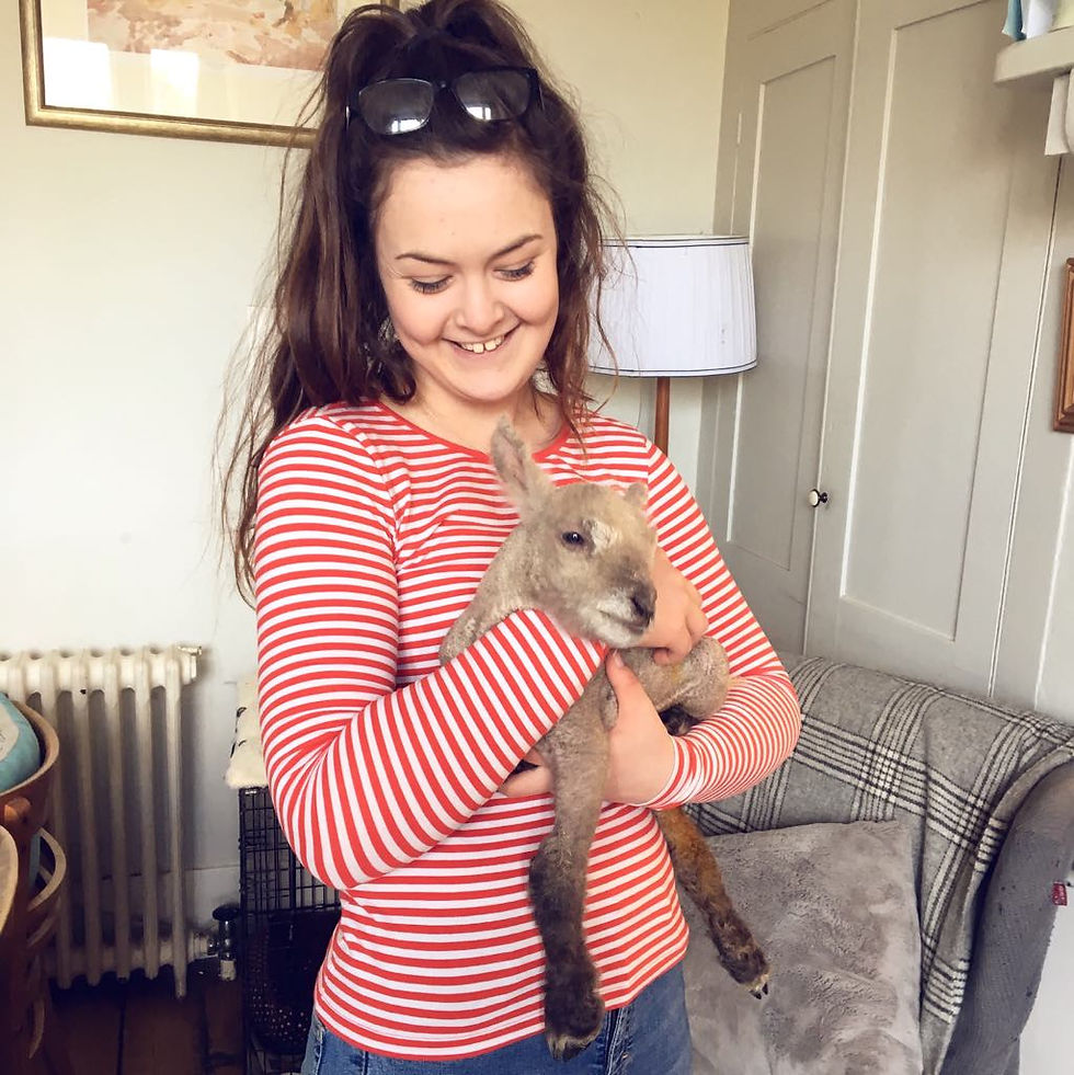 Brunette editor Hollie-Ella with cute newborn lamb