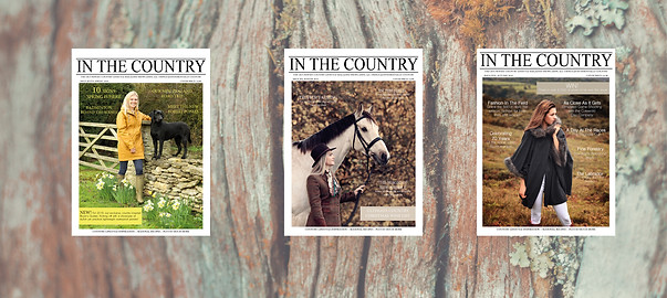 coveroption3.jpg