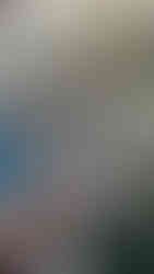 The Caribbean - Oceania Cruises