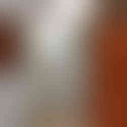 Lux Apartment near Kalemegdan