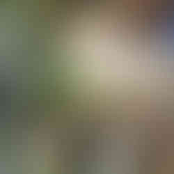 Klinika dentare Dr. Erta Xhanari - Tirana