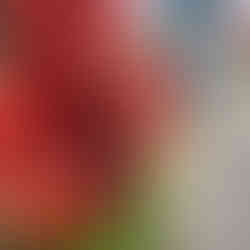 Baba Cana Vodno - Skopje