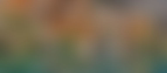 Three months in Macedonia