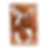 Talismanic Copper