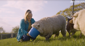 Screenshot 2025-10-14 at 14.56.42.png