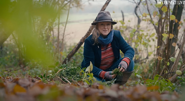 Screenshot 2025-10-14 at 14.58.50.png