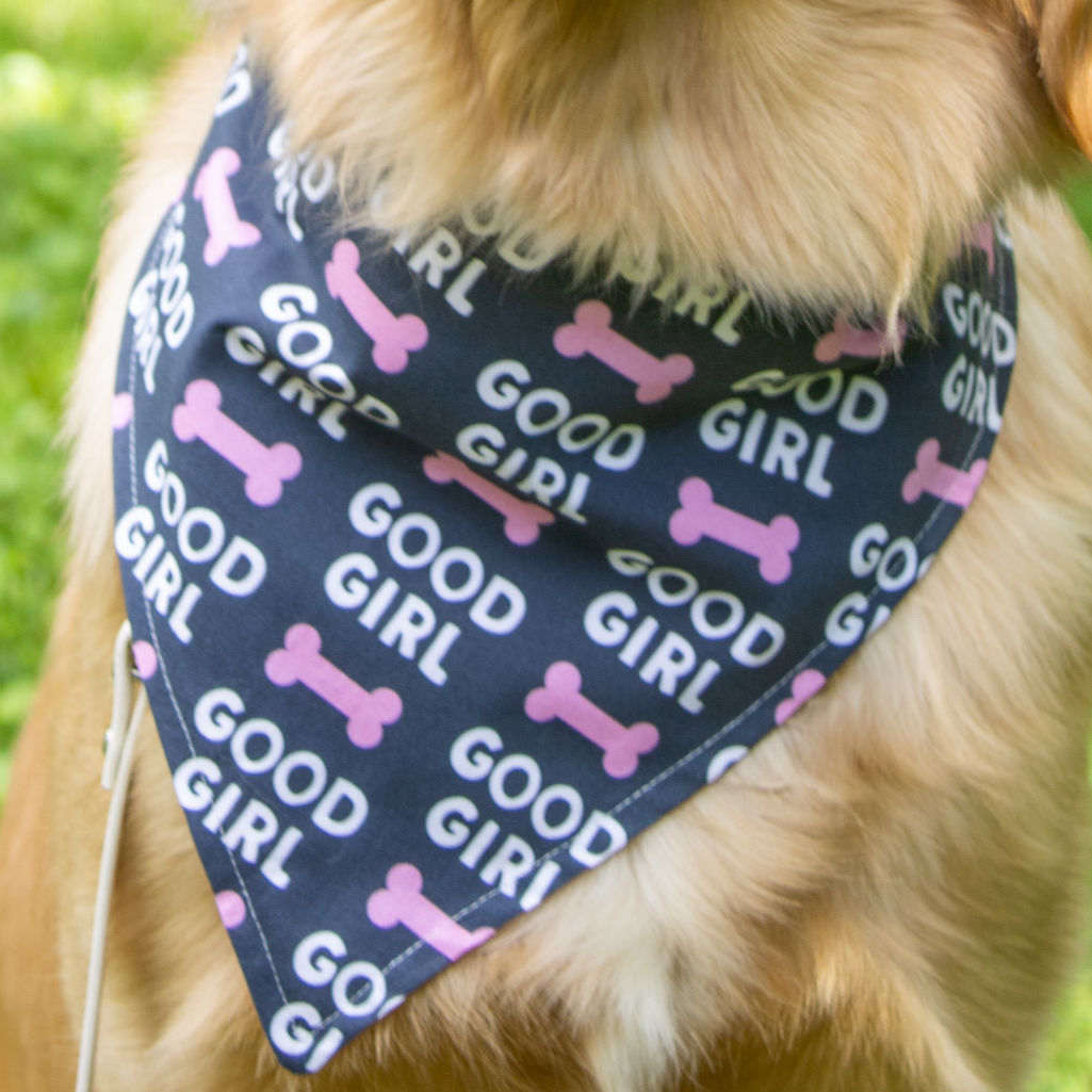 Good Girl/Bad to the Bone Dana