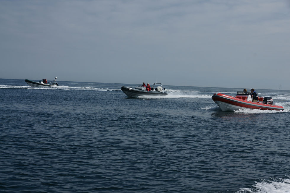 DSC02752.JPG