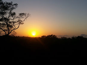Greeting the sun at Caxiuana