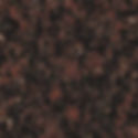 Indian Mahogany