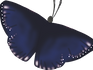 無標題-3.png