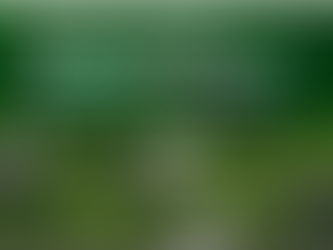 II Jornada de Capacitación a Operadores de Plantas de Rendering