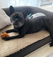 Lilli