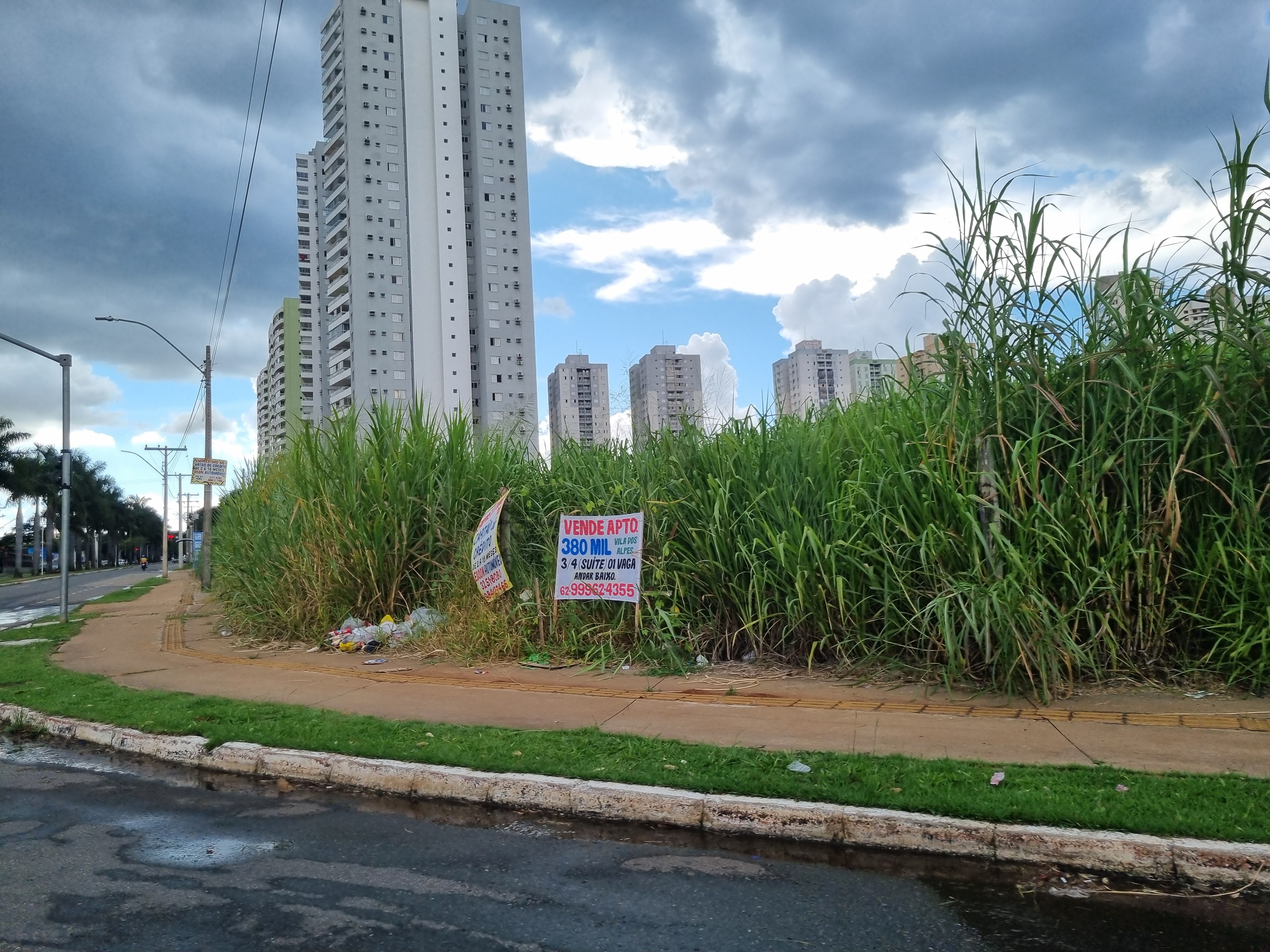 Avenida dos Alpes, Vila dos Alpes, Goiânia, 28 de janeiro de 2025