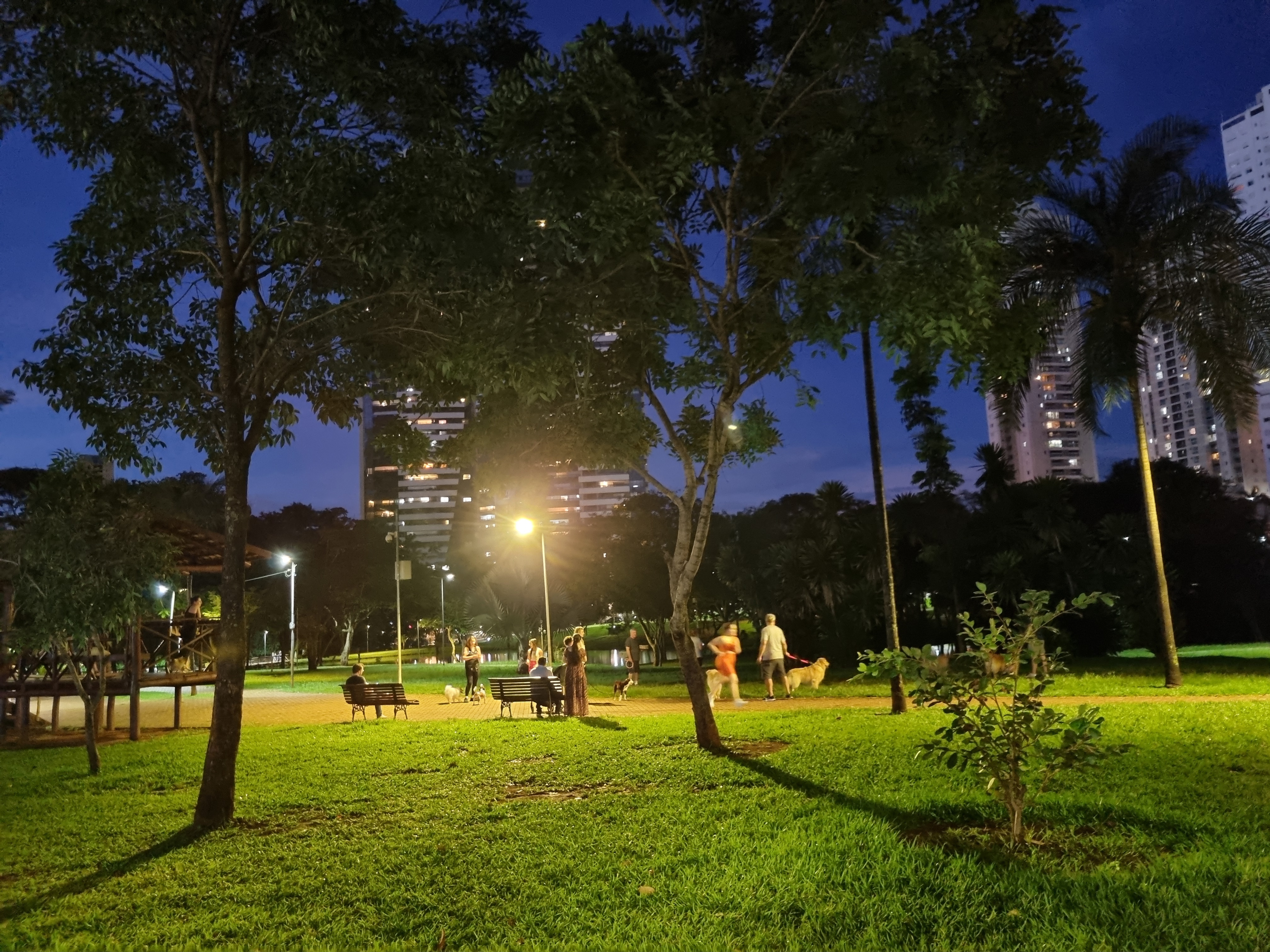 Parque Flamboyant at night, Jardim Goiás, Goiânia, April 2024