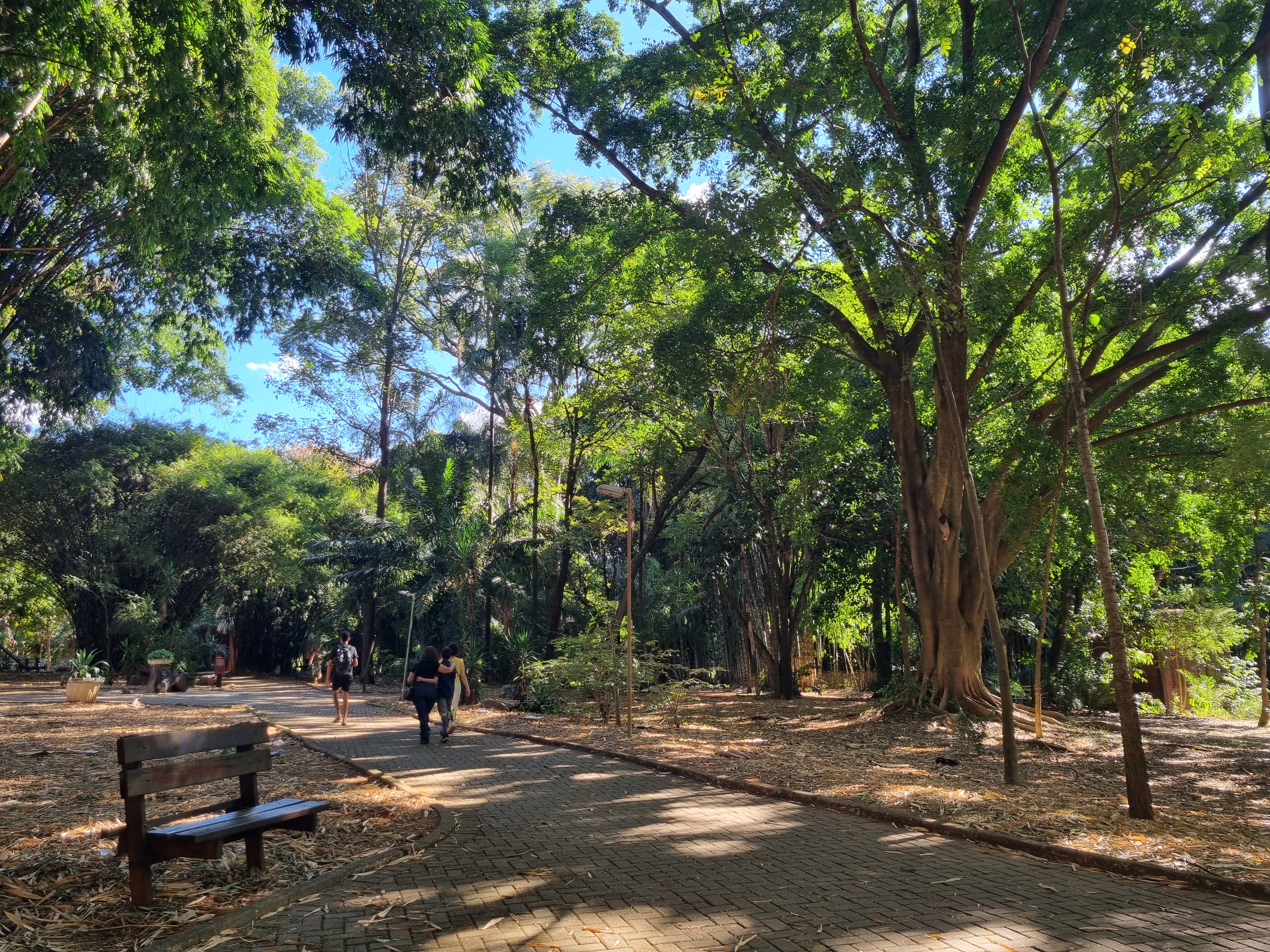 Areião Park, Goiânia, June 2025