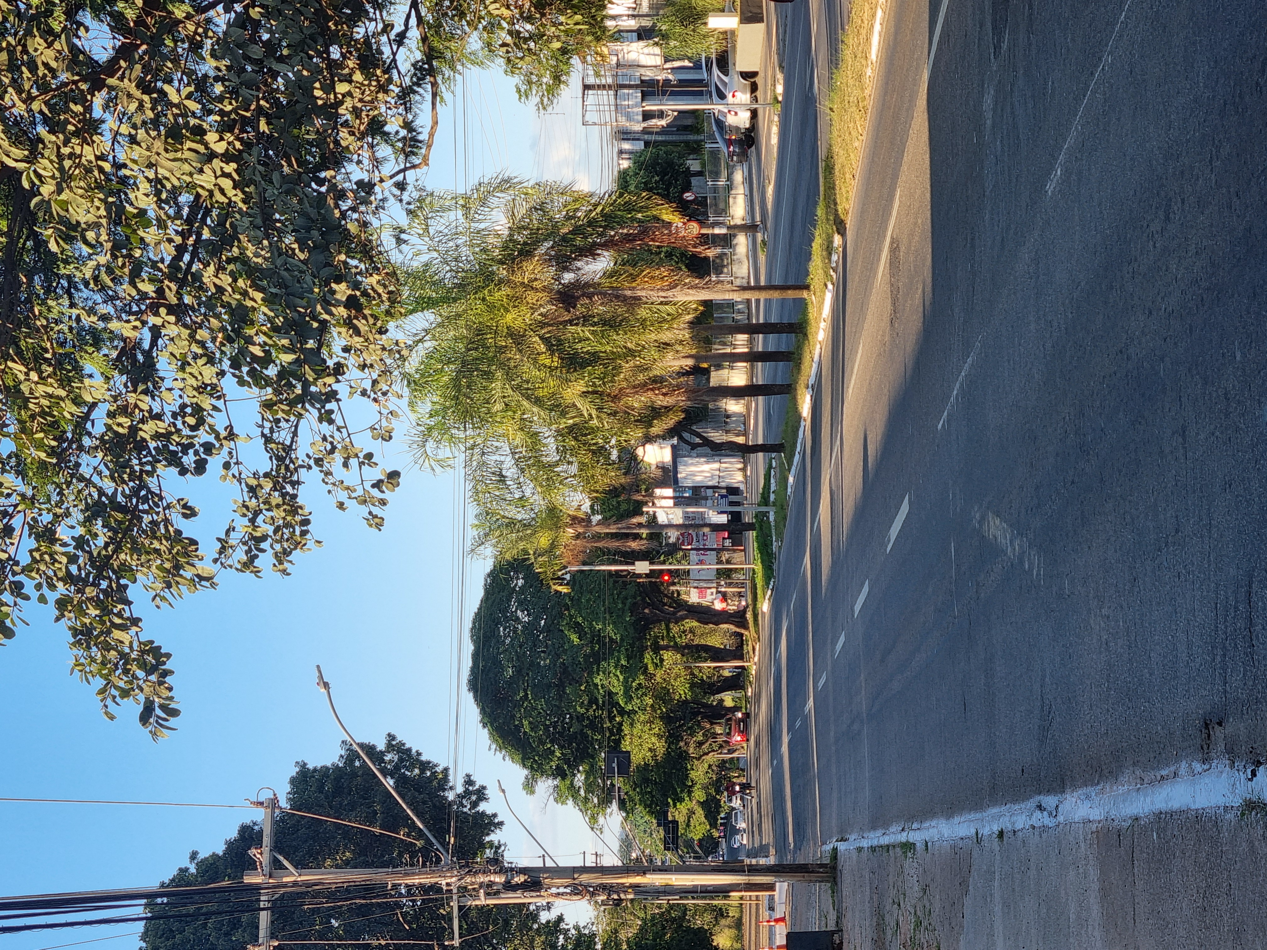 Avenida Vereador José Monteiro, no bairro Negrão de Lima, em Goiânia, em 8 de junho de 2025