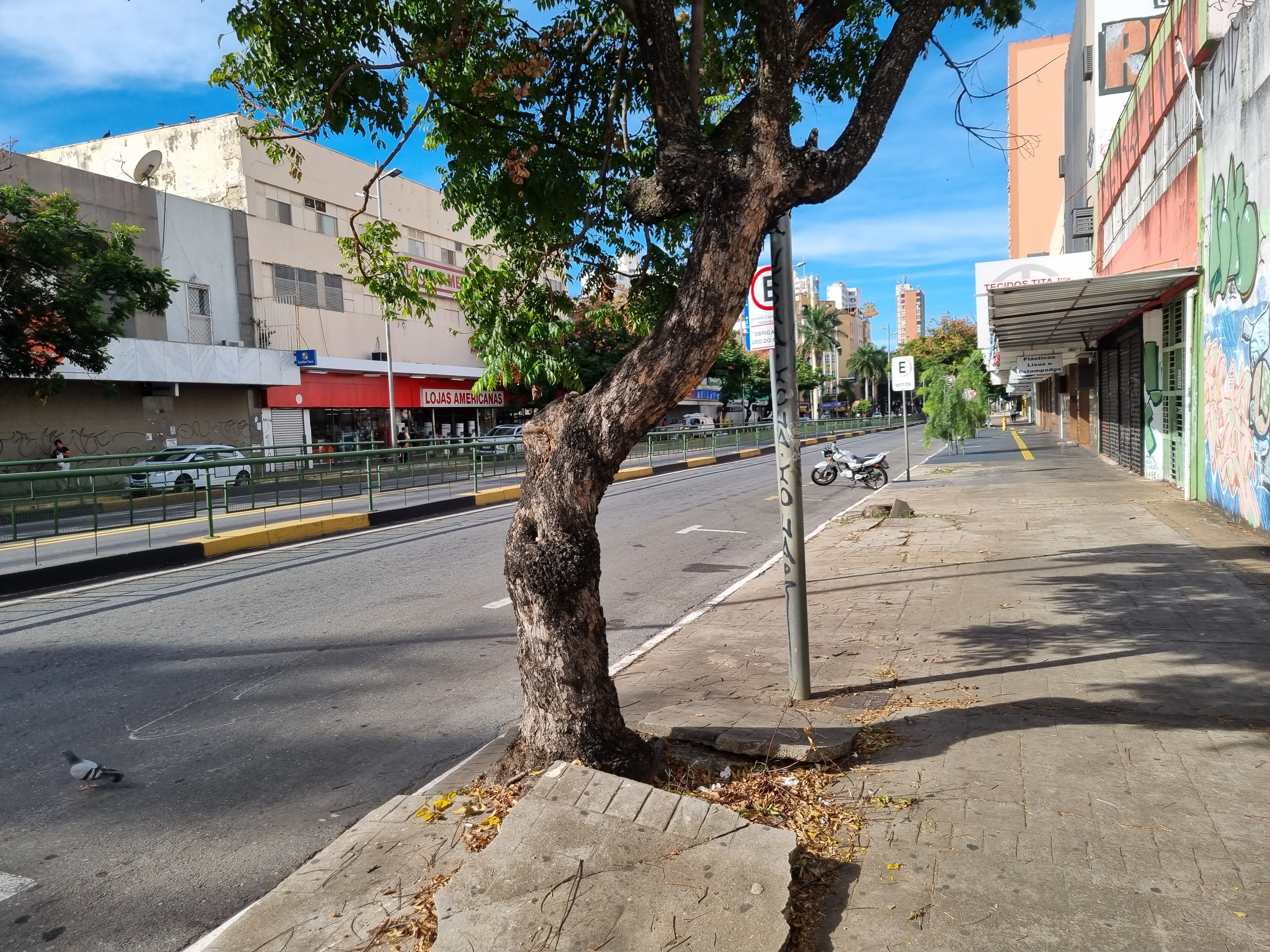 Goiânia · Ecos do Cerrado
