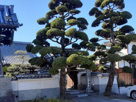 お寺カフェ(5/24)開催します!