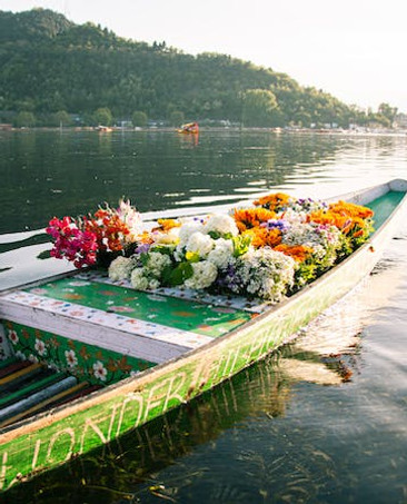 Shakara ride activity in Kashmir presented by trivilio