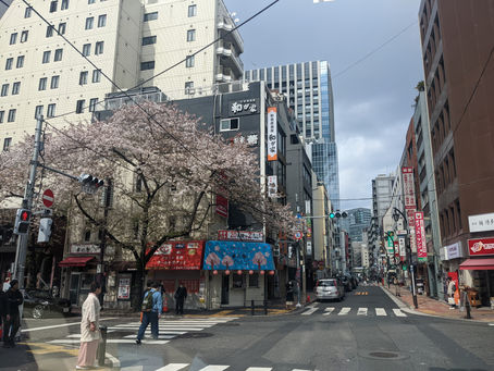 2023/04/04 閉店した八重洲ブックセンターに行ってきました🚚📕