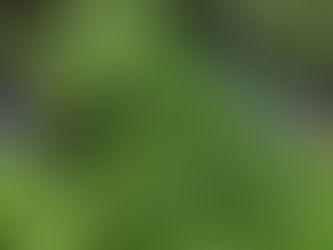 出張買取のひととき、写真です。