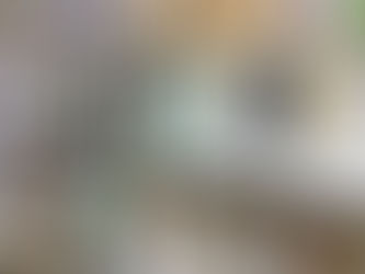 日本史が大量に入荷しました