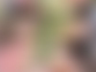 Bison Steaks mit geschmolzener Knoblauch Butter