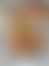 Gebeizter Lachs in Rum Marinade auf Roggenbrot mit Meerrettich Sauce