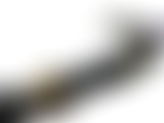 Mosca secca terrestre