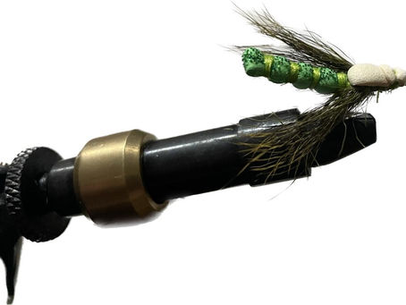 Mosca secca terrestre