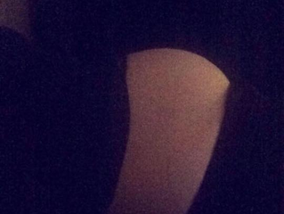 Kicks, Cravings & 20 Week Scan!