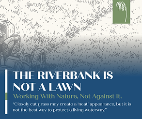 2 Riverbank not a Lawn - FB.png