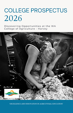 College Prospective 2026 cover (1).png