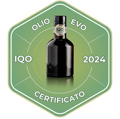Copia di presentazione_Portale_IQO-2.png